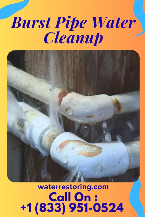 Burst Pipe Water Cleanup in Landess, IN