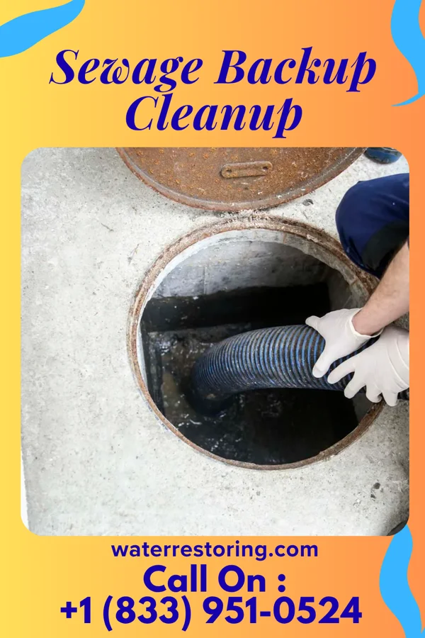 Sewage Backup Cleanup in Landess, IN